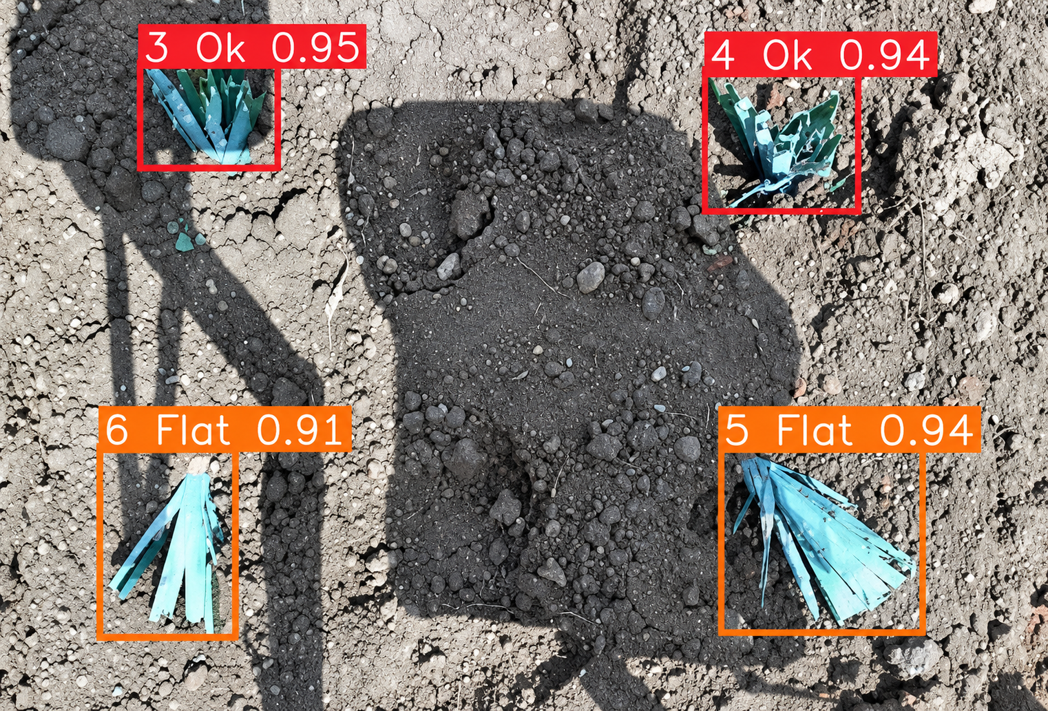 Computer vision identifies planted pineapple saplings